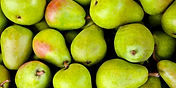pear-varieties-nz