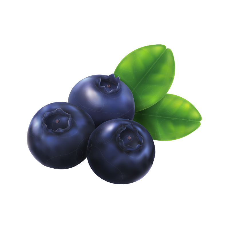 Marimba (SH) Fruitfool