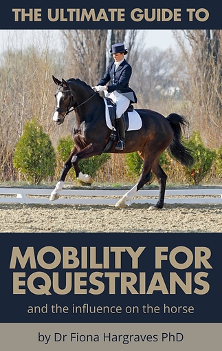 mobility cover.png