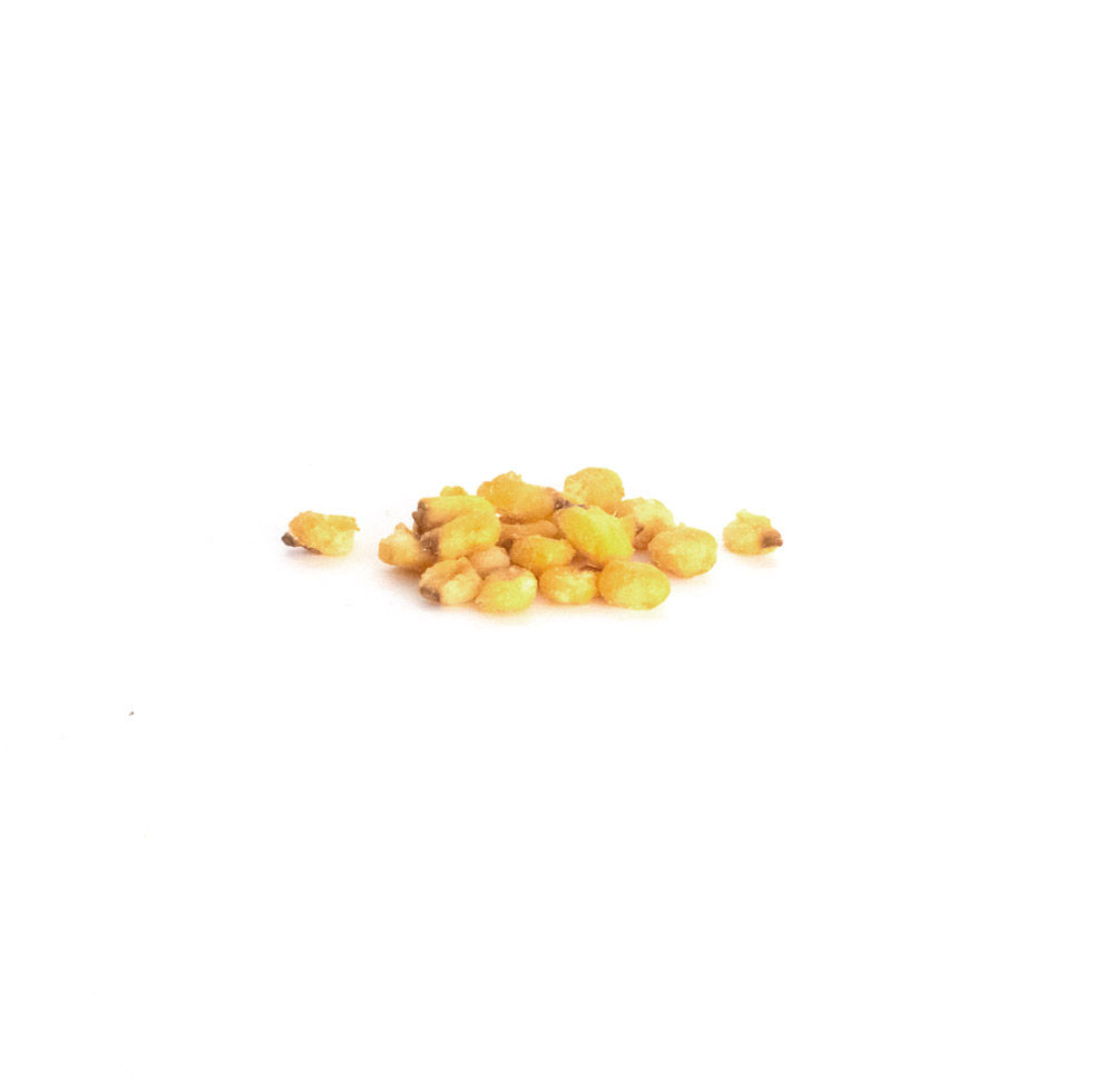 Toasted Corn