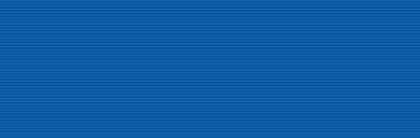 BLUE-RIBBON-NEW.jpg