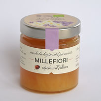 500-MILLEFIORI.jpg