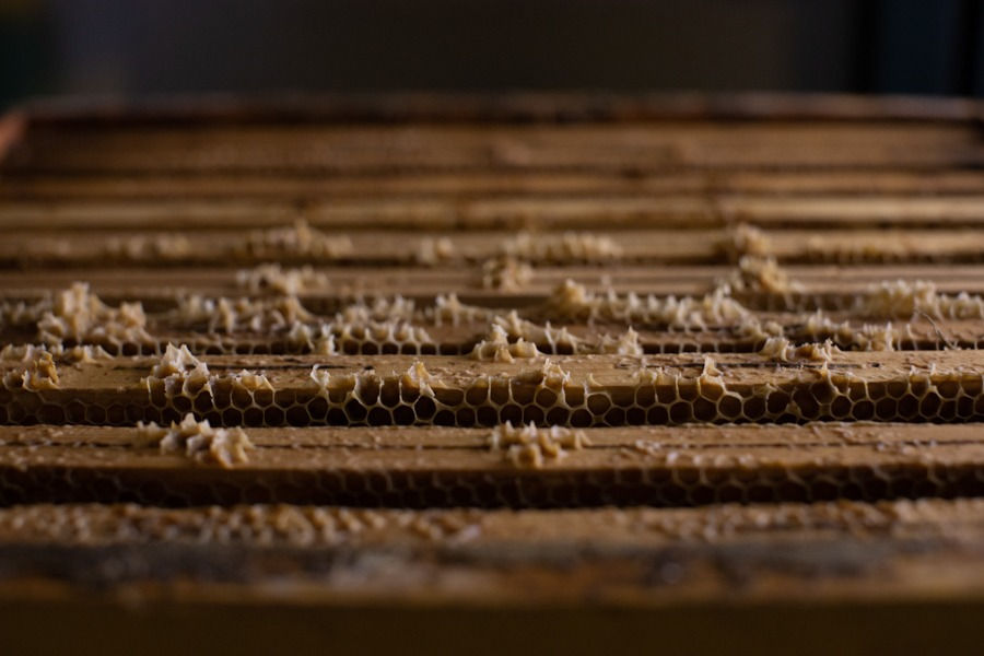 Miniatura: Cera d'Api Bio 9 panetti