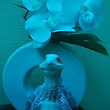IMG_20241120_092547.jpg
