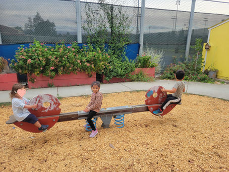 Preschool Growth and Development at Santa Clara Parents Nursery School: Understanding Equilibrium & Disequilibrium