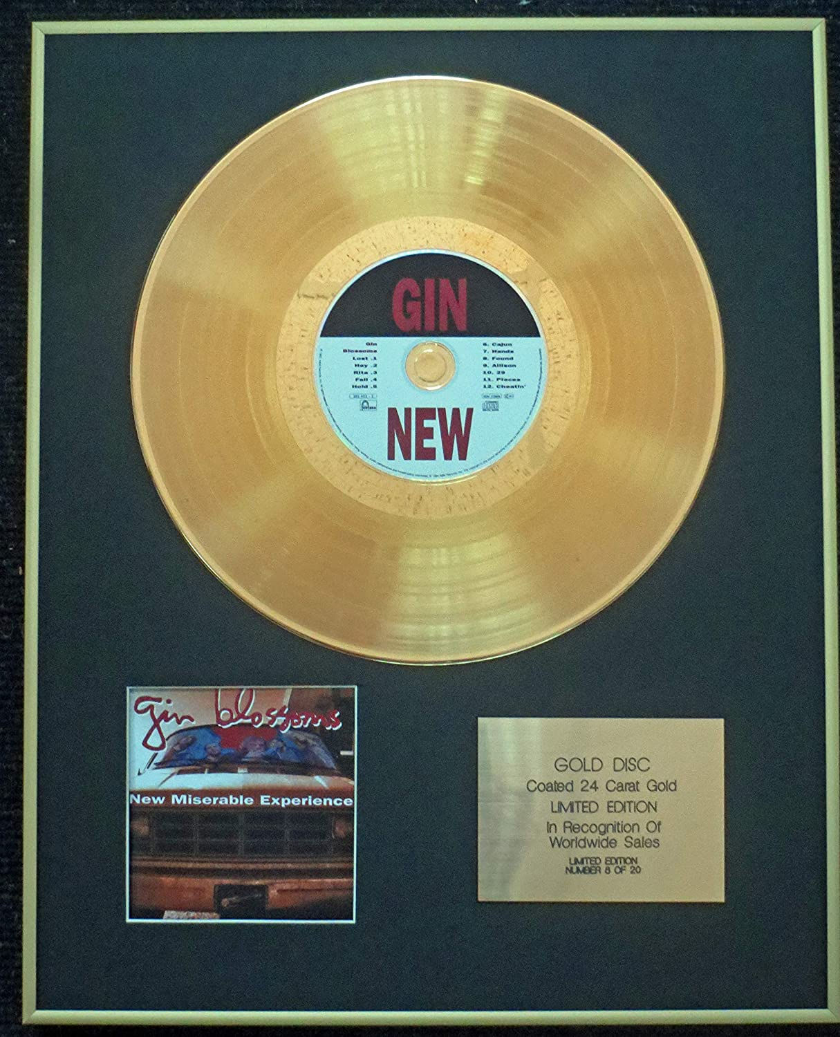 Gin Blossoms - New Miserable Experience