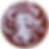 MÜLLER