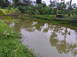finca 011
