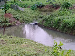 finca 01