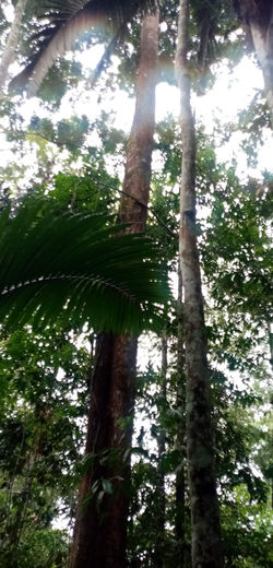 Finca Orellana 023