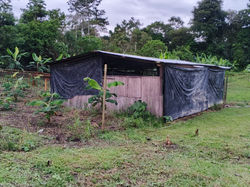 finca 08