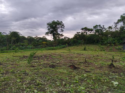 finca 03