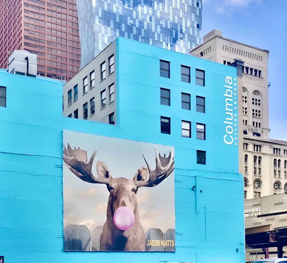 A giant public art banner hanging on the side of a building, made with high-quality ink & material, and skilled installation.