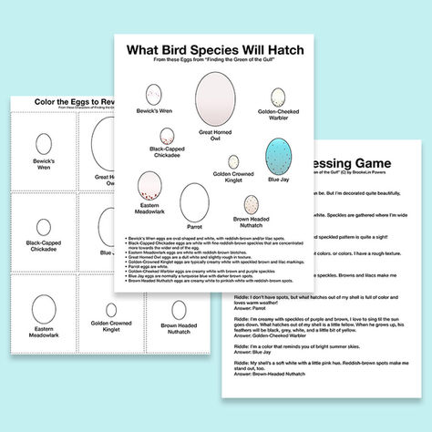 What will hatch?