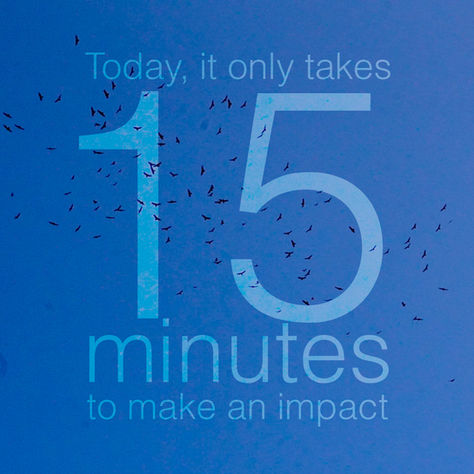 World Migratory Bird Day