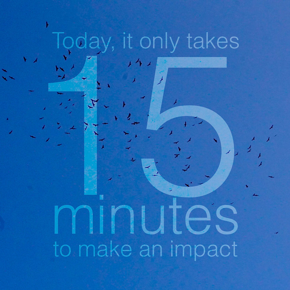 World Migratory Bird Day