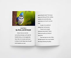 book-2-mockup-inside.jpg