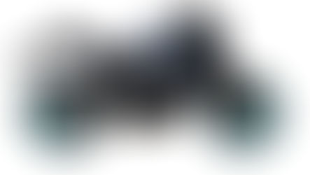 TERMIGNONI 新製品