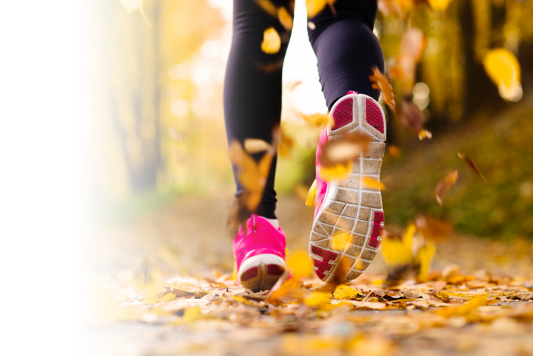 fall runner.png