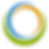 Raw Precision Logo (1).png