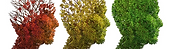 ayurvedic-treatment.png