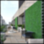 artificial plant wall