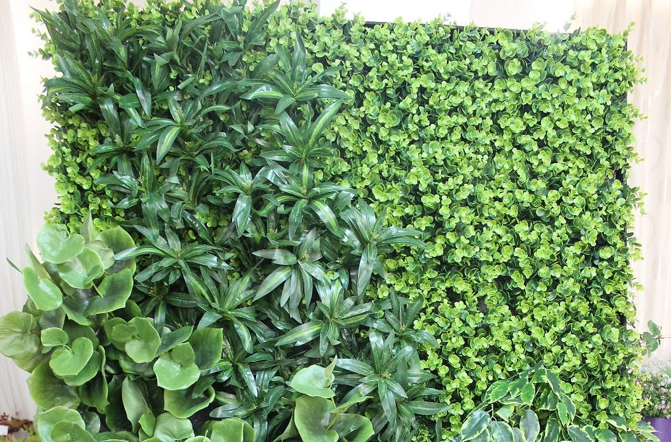Thumbnail: Customized Green Wall PLANTWALL011