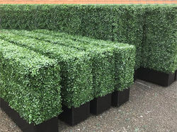 Artificial Boxwood Hedge