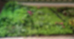 faux plant wall