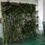 Thumbnail: Artificial plant wall
