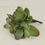 Thumbnail: Artificial Succulent Plants fake succulent(Set of 3)