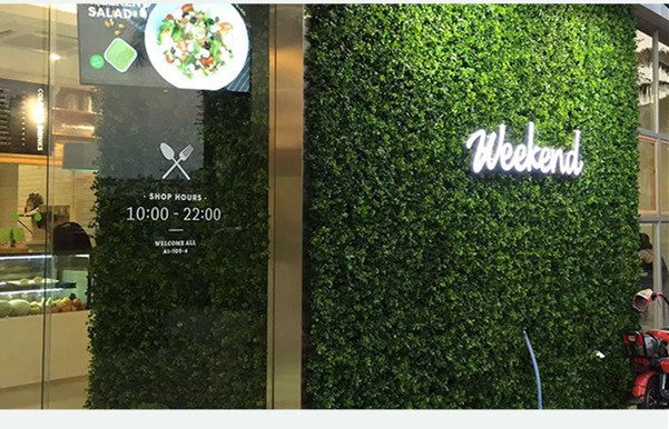 Thumbnail: Artificial Hedges Panels, Vertical Landscape Wall, grass mat   12pcs AP007