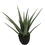 Thumbnail: 23" H Artificial aloe artificial plant green color plant – for decoration