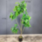 Thumbnail: Artificial treasure tree, happiness tree, Radermachera Sinica Plant, faux tree