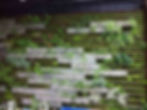 artificial living wall