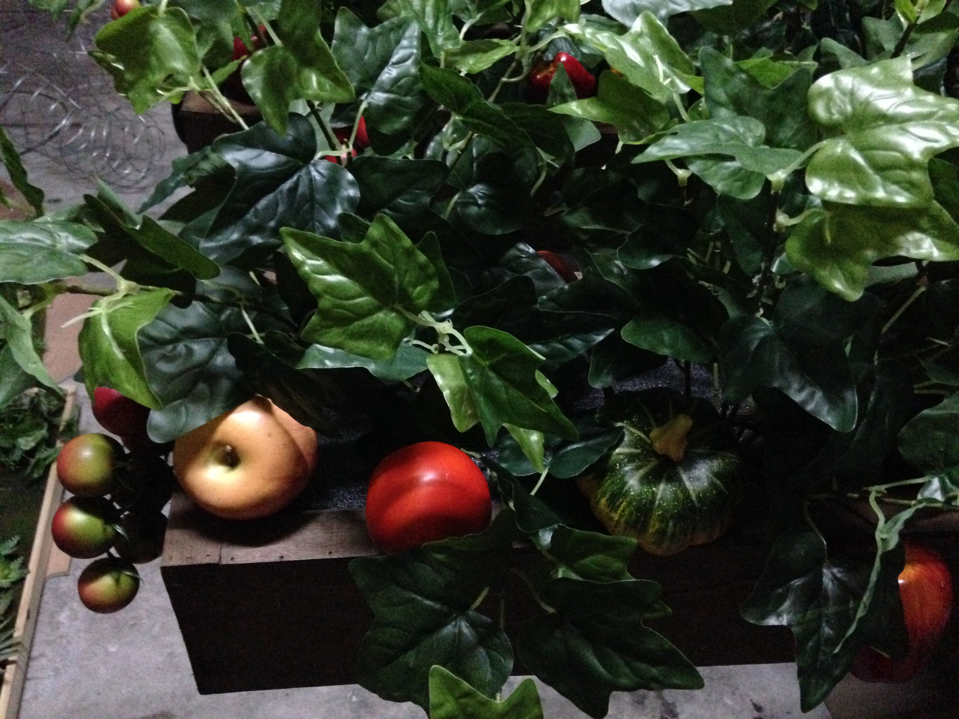 Foliage plants box FB002