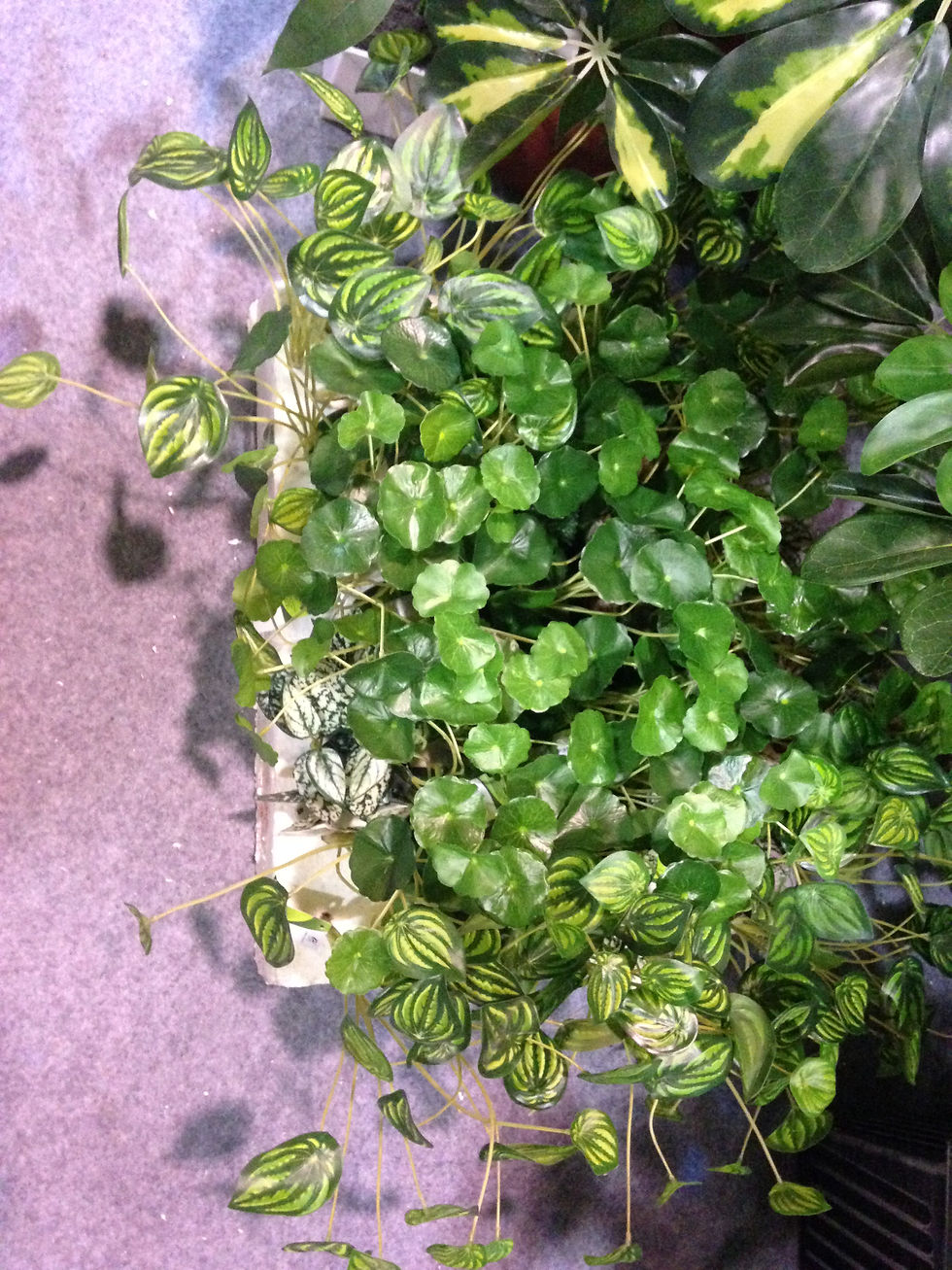 Thumbnail: Customized artificial vertical plant wall PLANTWALL041