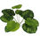 Thumbnail: Artificial plants Calathea rotundifolia  Artificial Greenery Tropical Shrubs