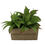 Thumbnail: Artificial Succulent Plants fake succulent(Set of 3)