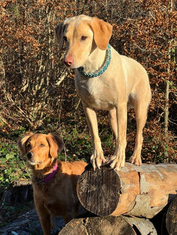 f32b75cd-0f44-42e2-9b14-e9754c01be17