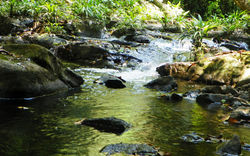 Parque Nac. Los Katios