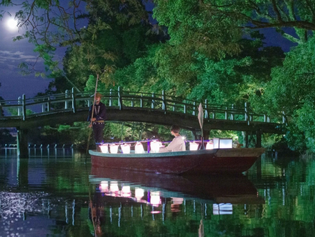 植物ナノバイオニクスによる国指定名勝とその周辺の魅力創出