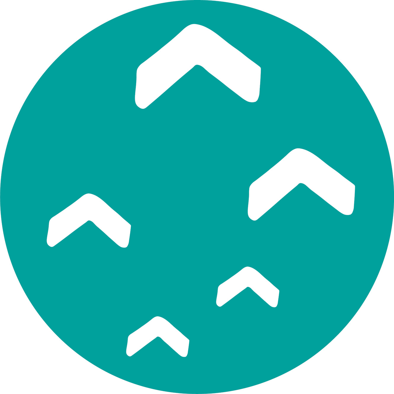 Youth Health and Wellbeing Trust logo
