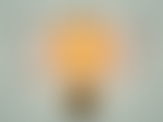 Activos Intangibles - Video