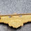 Miniaturbild: WWII ERA NAVY PILOT MINI SWEETHEART/ OVERSEAS CAP GOLD WINGS 