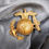 Miniaturbild: MARINE CORPS INTERWAR EGA