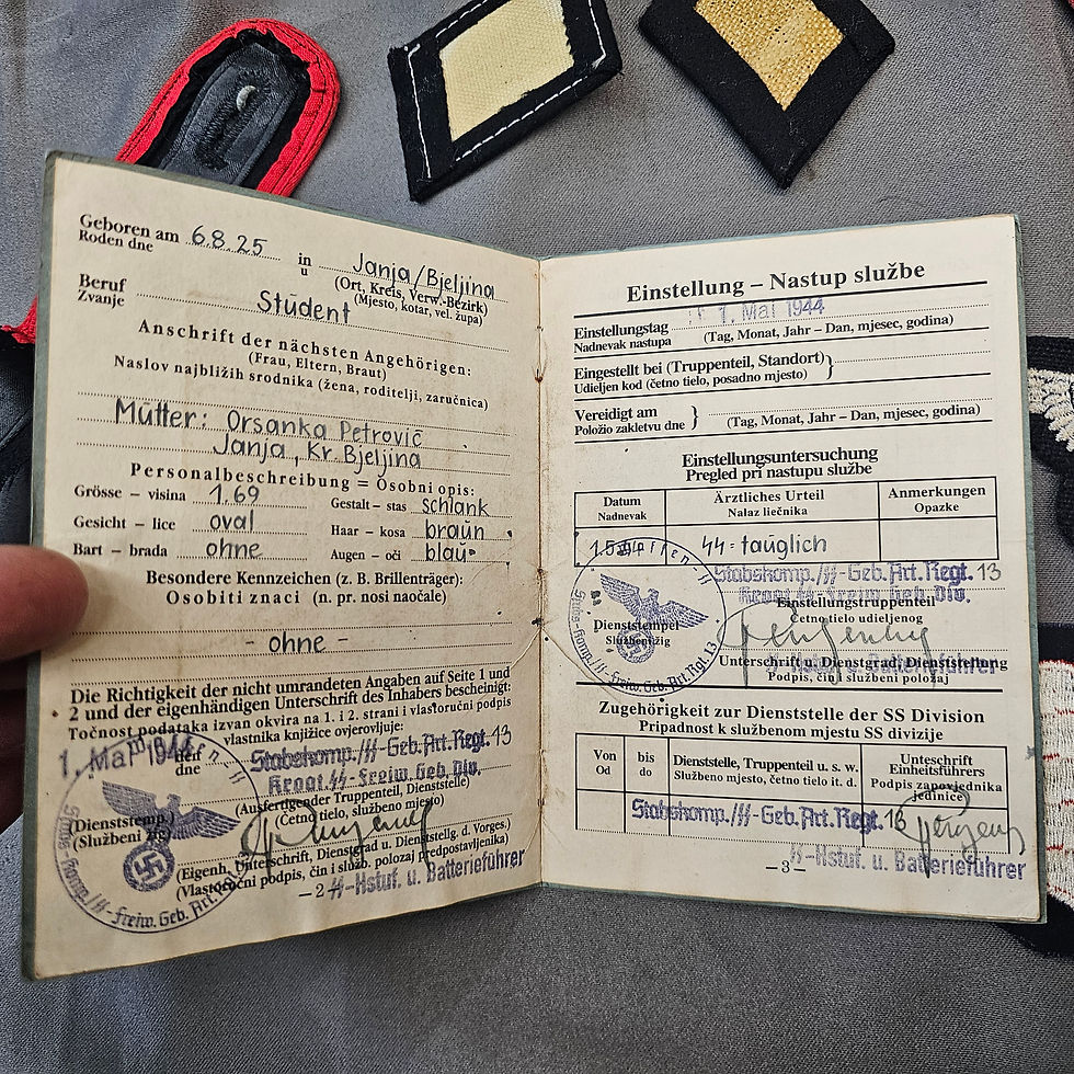 Miniaturbild: Handschar Division Soldbuch & Insignia