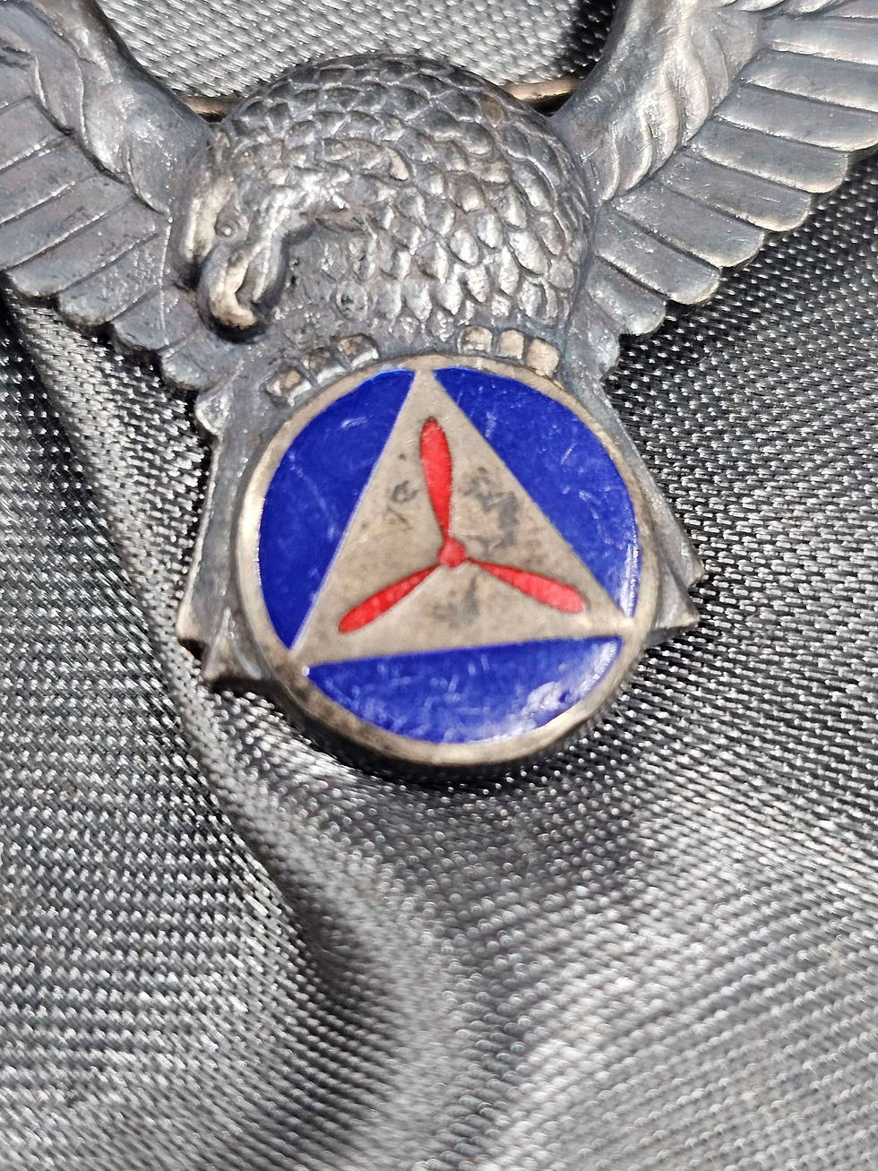 Thumbnail: WWII CIVIL AIR PATROL WINGS 