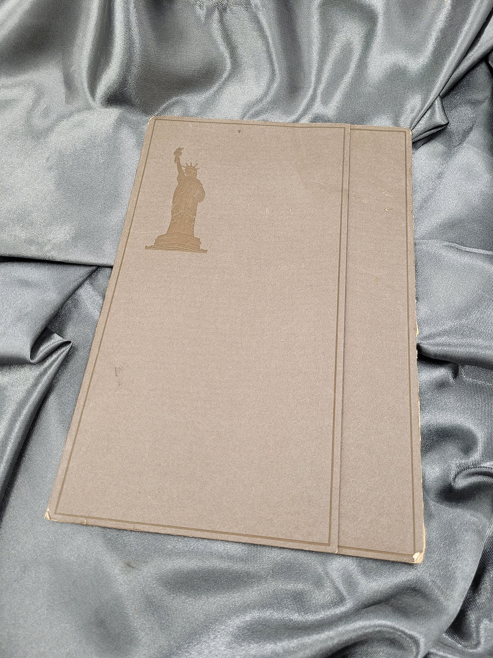 Miniature : PORTRAIT DE LA PREMIÈRE GUERRE MONDIALE D'UN SOLDAT