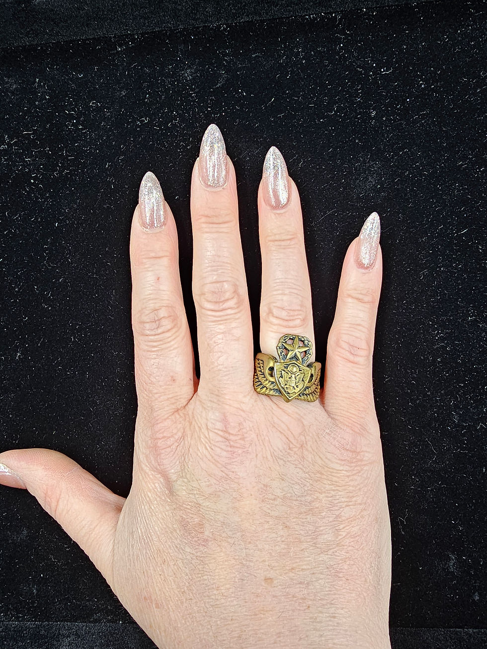 Thumbnail: VIETNAM WAR ERA WINGS RING